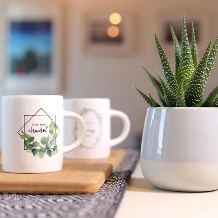 Apartment Open Space, E Luminoso, In Classe A *