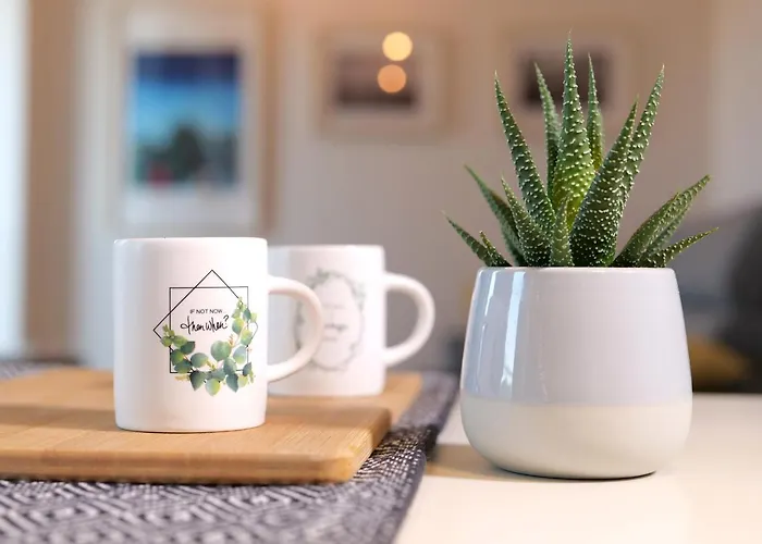 Appartement Open Space, E Luminoso, In Classe A *