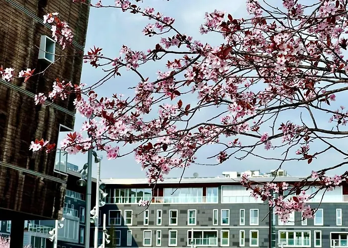 Open Space, E Luminoso, In Classe A