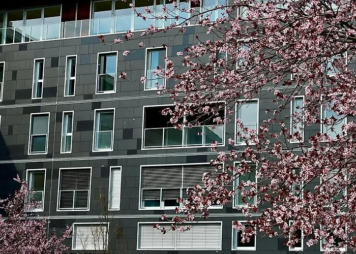 Open Space, E Luminoso, In Classe A Парма